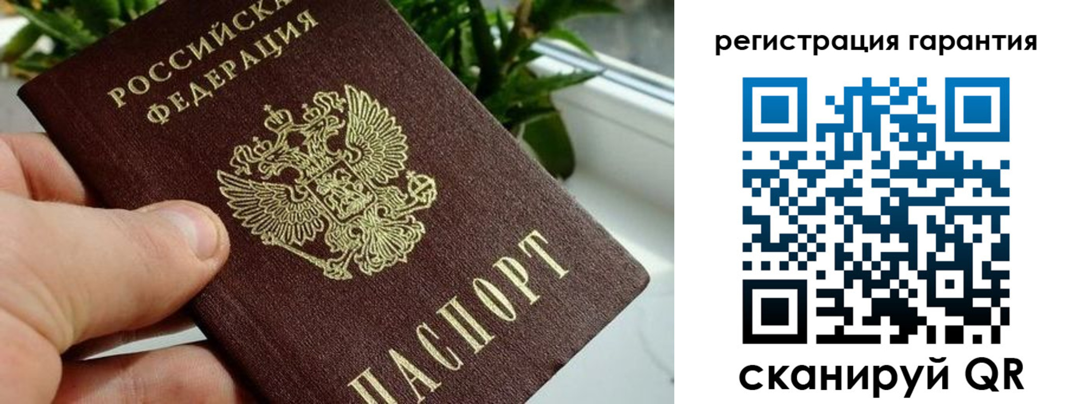 временная регистрация надежно в Большом Камне